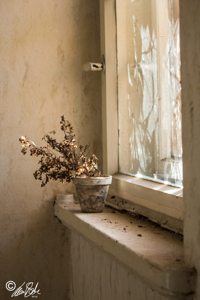 Lost Space - Window